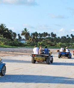 Passeio-de-Buggy-em-Maragogi